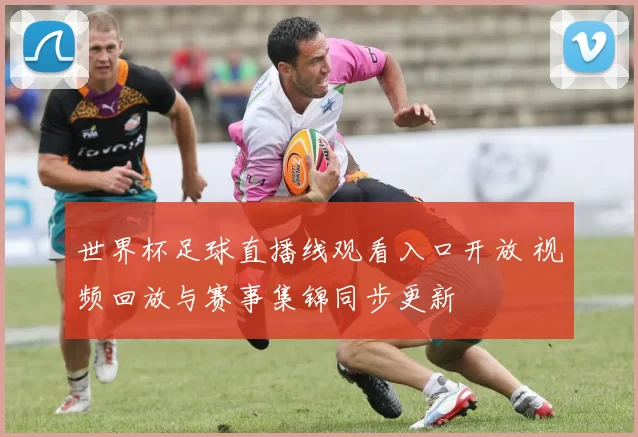 世界杯足球直播线观看入口开放 视频回放与赛事集锦同步更新
