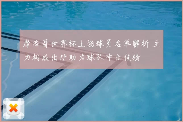 摩洛哥世界杯上场球员名单解析 主力构成出炉助力球队冲击佳绩