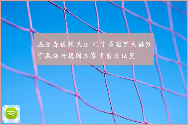 威尔森视频流出 辽宁男篮凭关键防守赢球并稳固本赛季首发位置